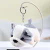 Gray-11cm-sha pei