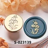 S-023139 Phalaenopsis
