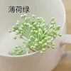 Menta