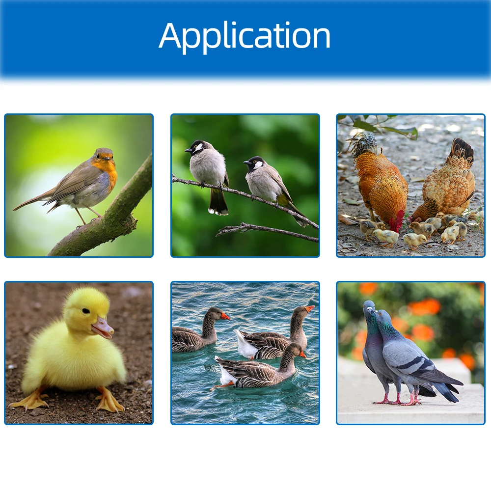 Новый XM-18G термостат автоматический инкубатор контроллер с датчики температуры влажности