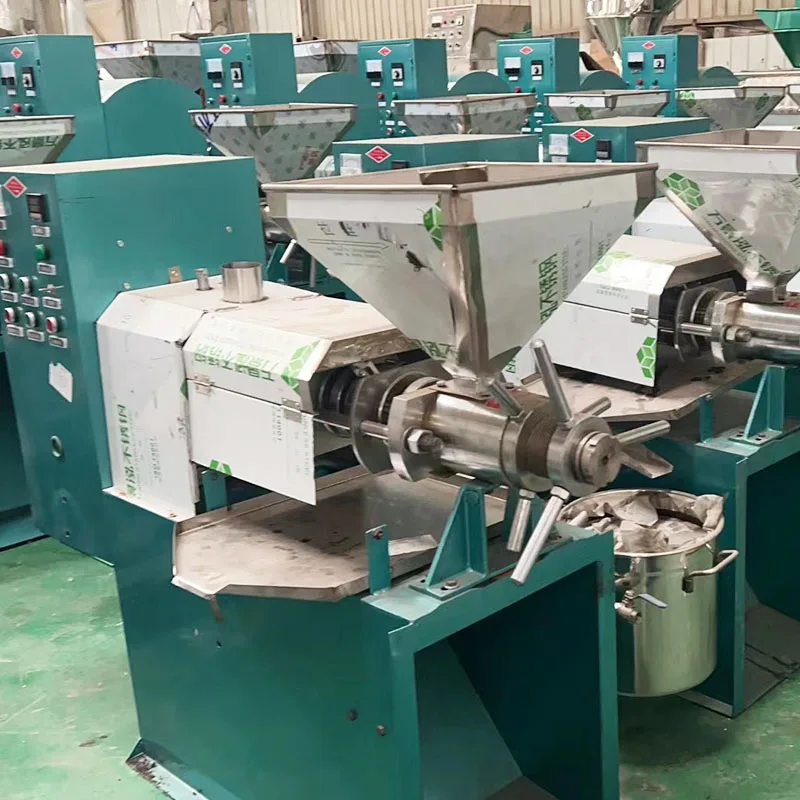 China Grape Seed Olive Oil Cold Extractor/ Oil Press Machine for Business  Second Hand Oil Press Machine