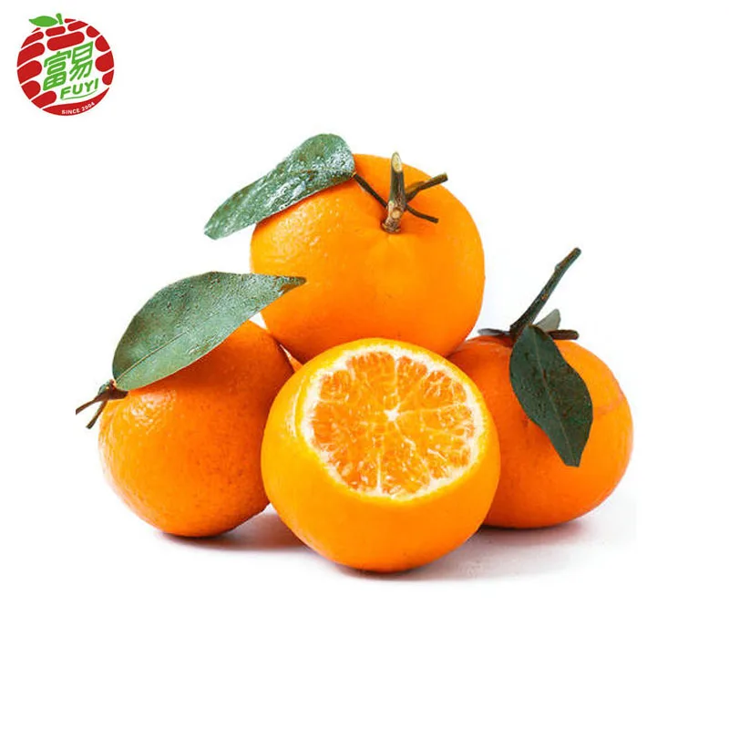 fresh baby sweet mandarin/high quality mandarin/mandarin orange
