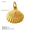 Scallop Shell