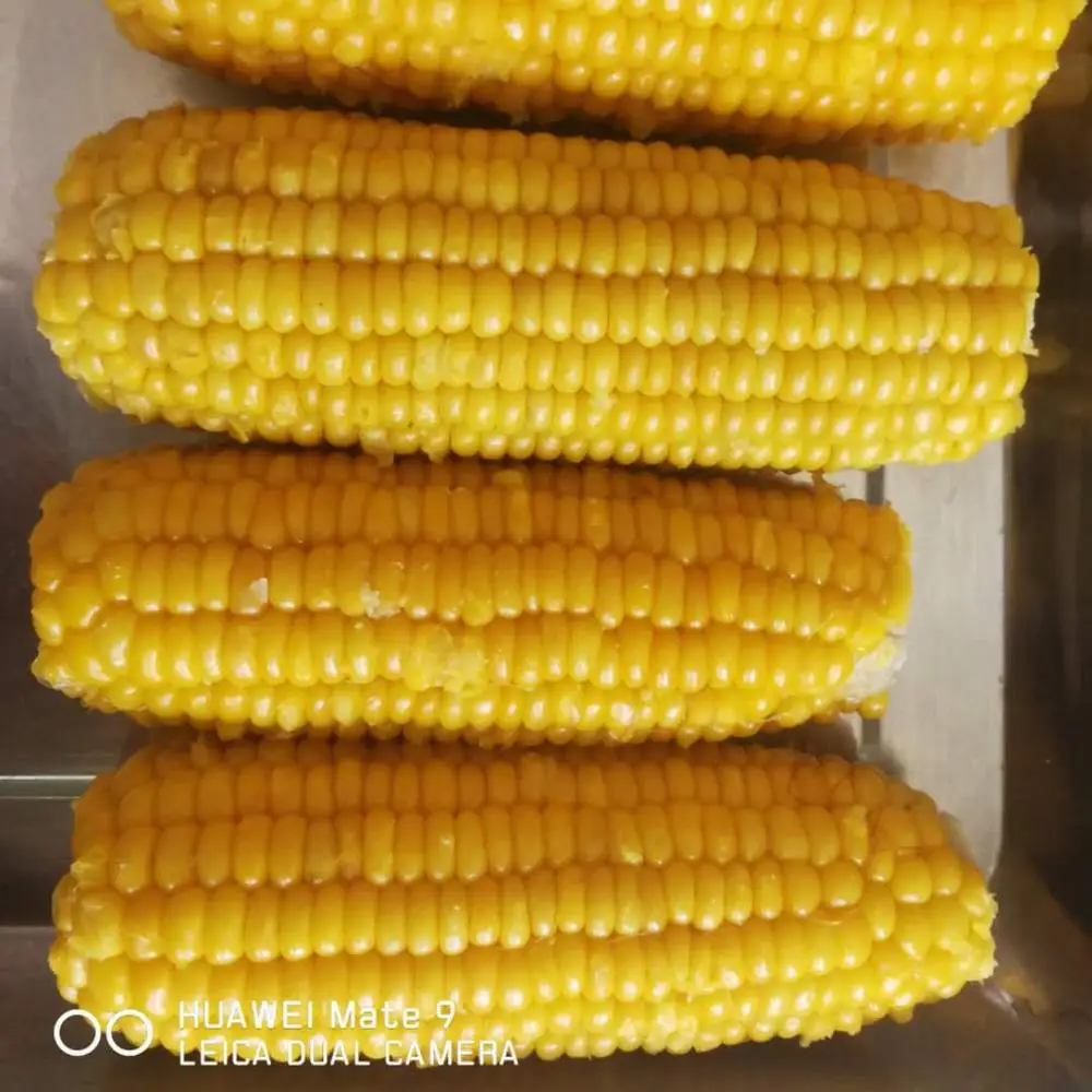 hot sale BRC certified frozen sweet corn cob whole / cut good quality