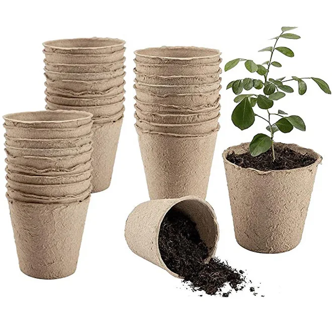 welche blumen fr blumenkasten im schatten Balkonblumen "Bltentraum im Schatten" kaufen  Mein schner Garten Shop