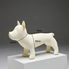 White DN Bull Terrier