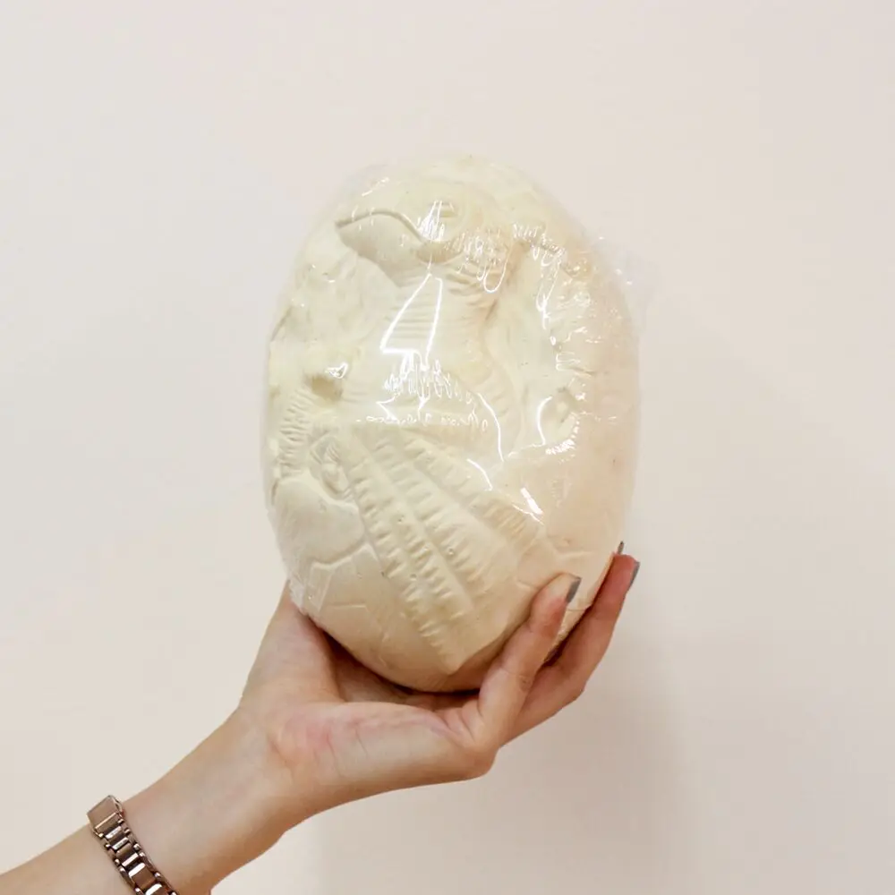 18cm 12kinds Dinosaur Skeleton fossil in Big Dino Egg Discover Excavation Dig It Out Kit Toy