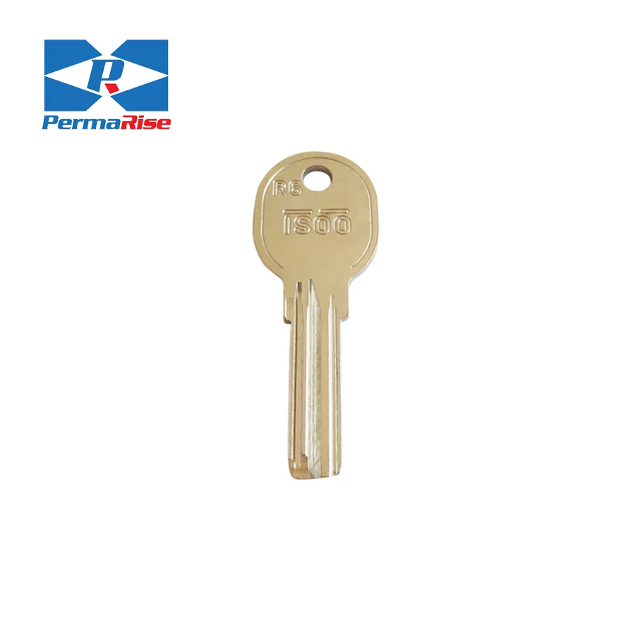 Smart Antitheft Lock Motorcycle Key Blank for Universal House Key Blank Key Everleo