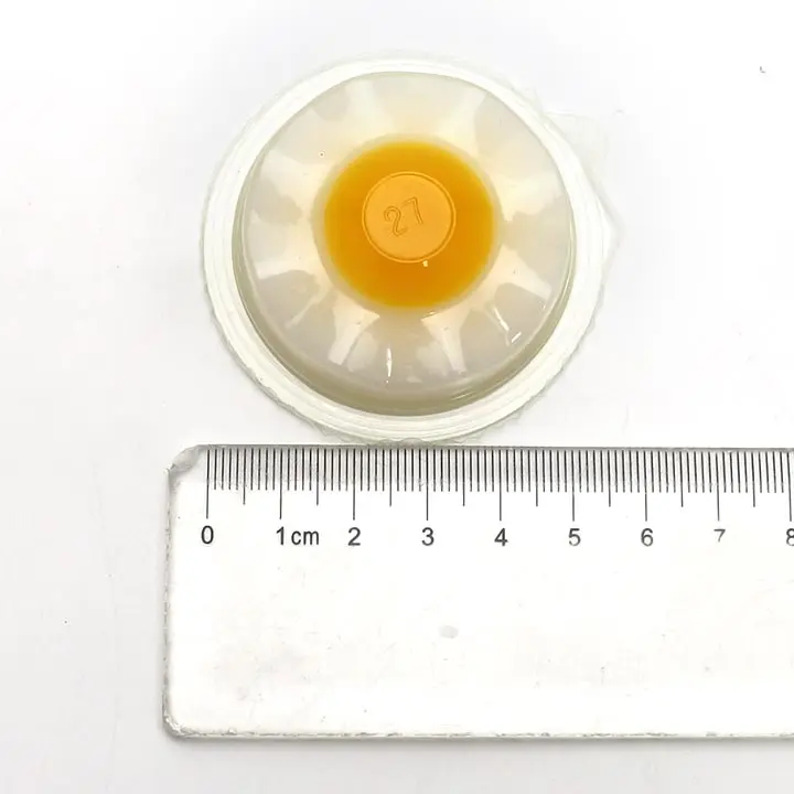 egg pudding