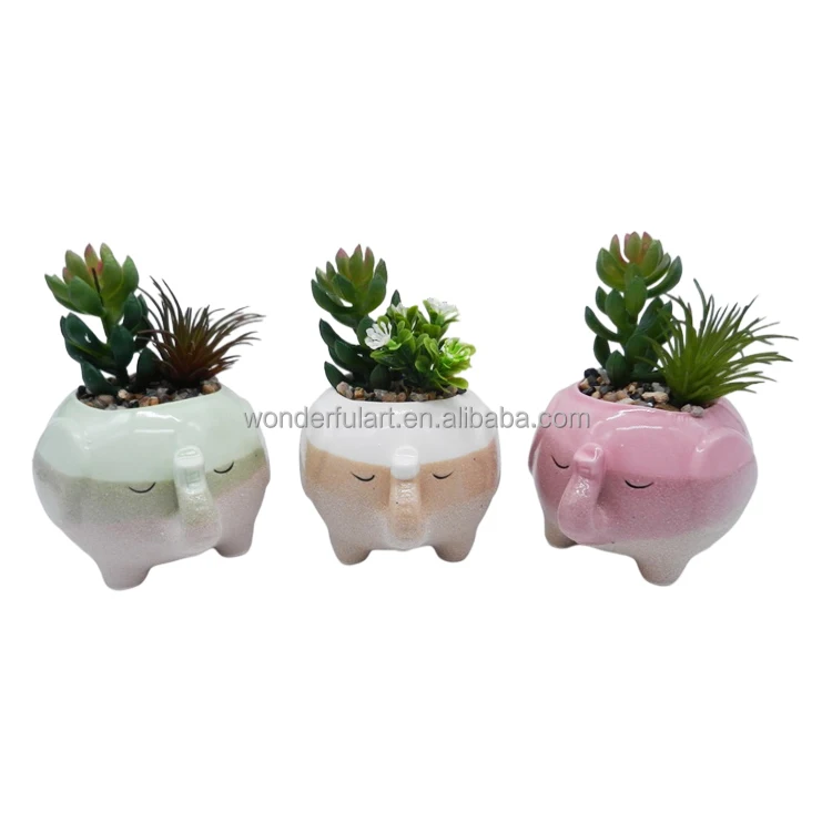 Set of 3 Cute Animal Succulent Plant Pot with Drain Dog Cat Whale Turtle Elephant Fox Small Plant Pot for Indoor and Outdoor