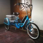 Adult Electric Tricycle 350W OEM Pedicab Cargo CE 3 Wheels Adult Electric Tricycles