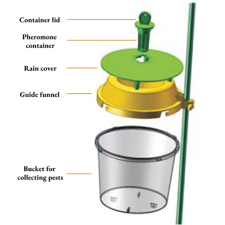 Tuta Absoluta Pheromone Moth Biological Insect Lure For Greenhouse