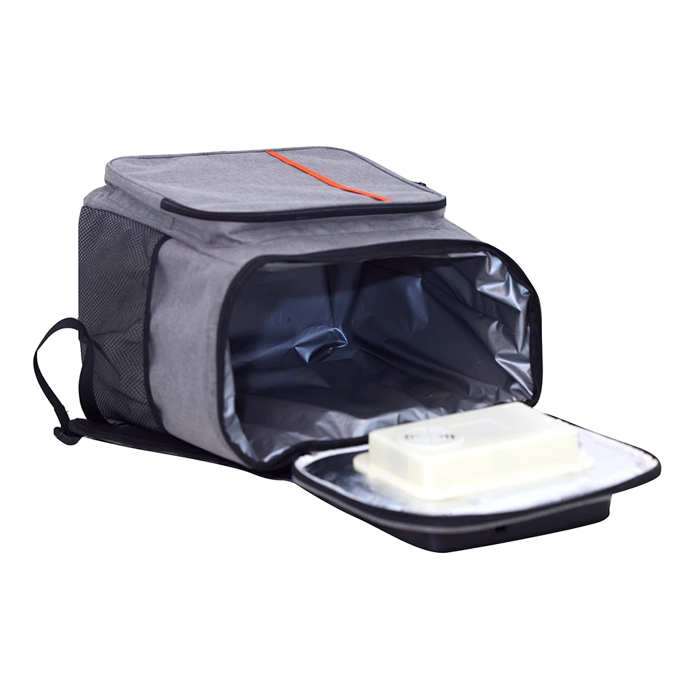 12V Cooler Bag