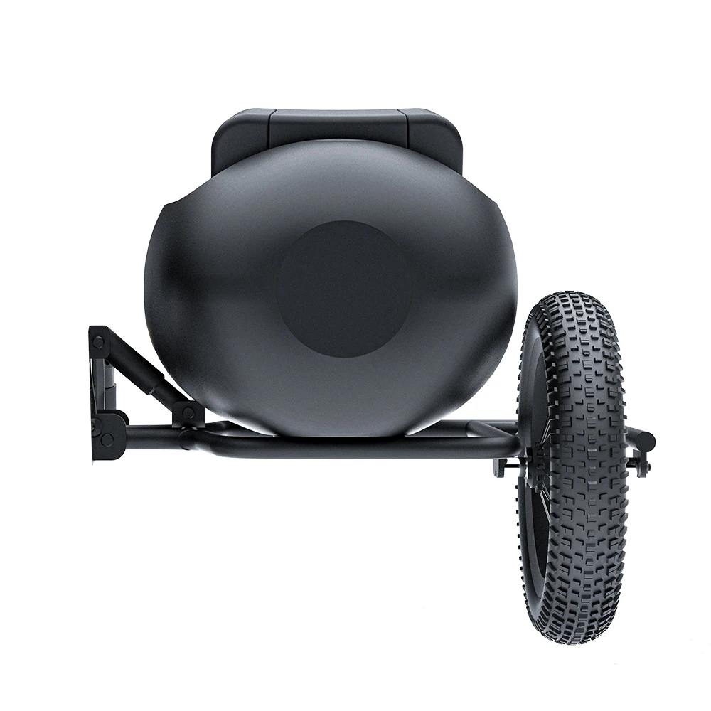 Coswheel Side Car Pedal Assist Bike Sidecar To Carry Pets Electric Fat