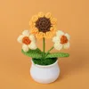 Small Sunflower + Yellow Double Puff - Potted Plant