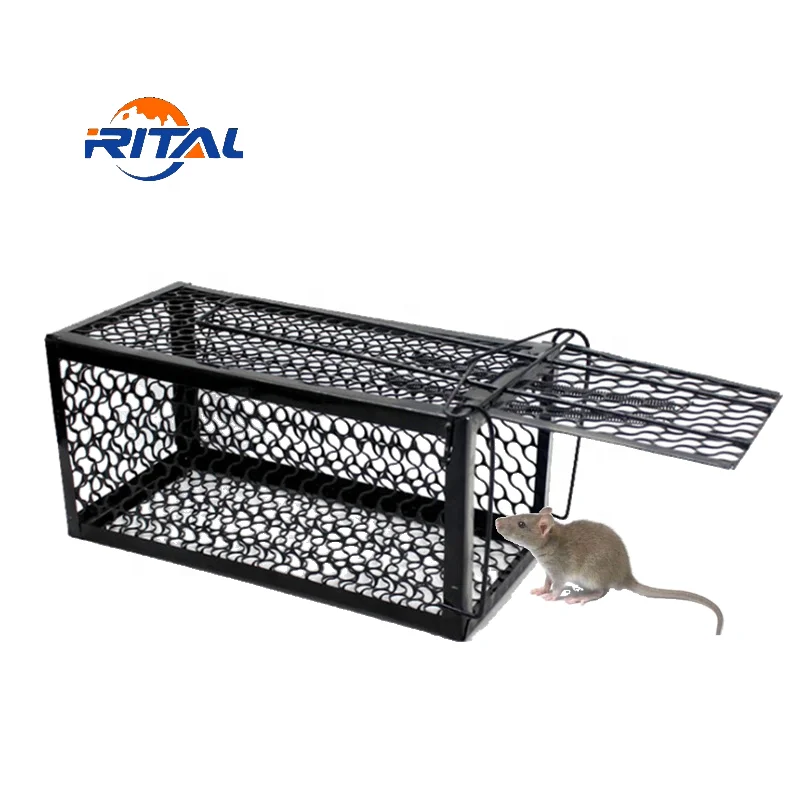 Dropship Foldable Rat Trap Cage Humane Live Rodent Trap Cage Galvanized  Iron Mice Mouse Control Bait Catch With Detachable L Shaped Rod to Sell  Online at a Lower Price