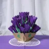 Tulipano