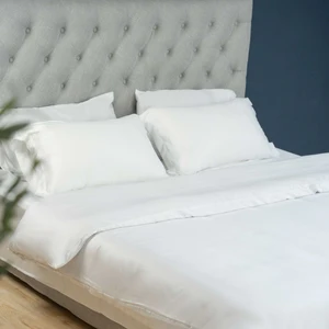 Luxury Promotes Healthier Sleep Tencel Comforter Bed Sheet Set Eucalyptus Bedding Set