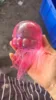 14cm