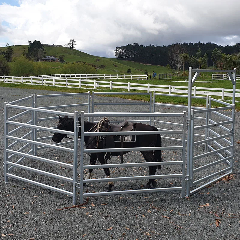 Livestock Corral Panels Square Tube Type Pipe Fence For Cattle And ...