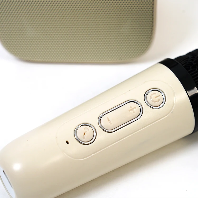 New Mini Portable Bluetooth Speaker With Wireless Microphone Music Player Toys Gifts for Boys Girls