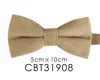 CBT31908