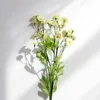 Giallo pallido