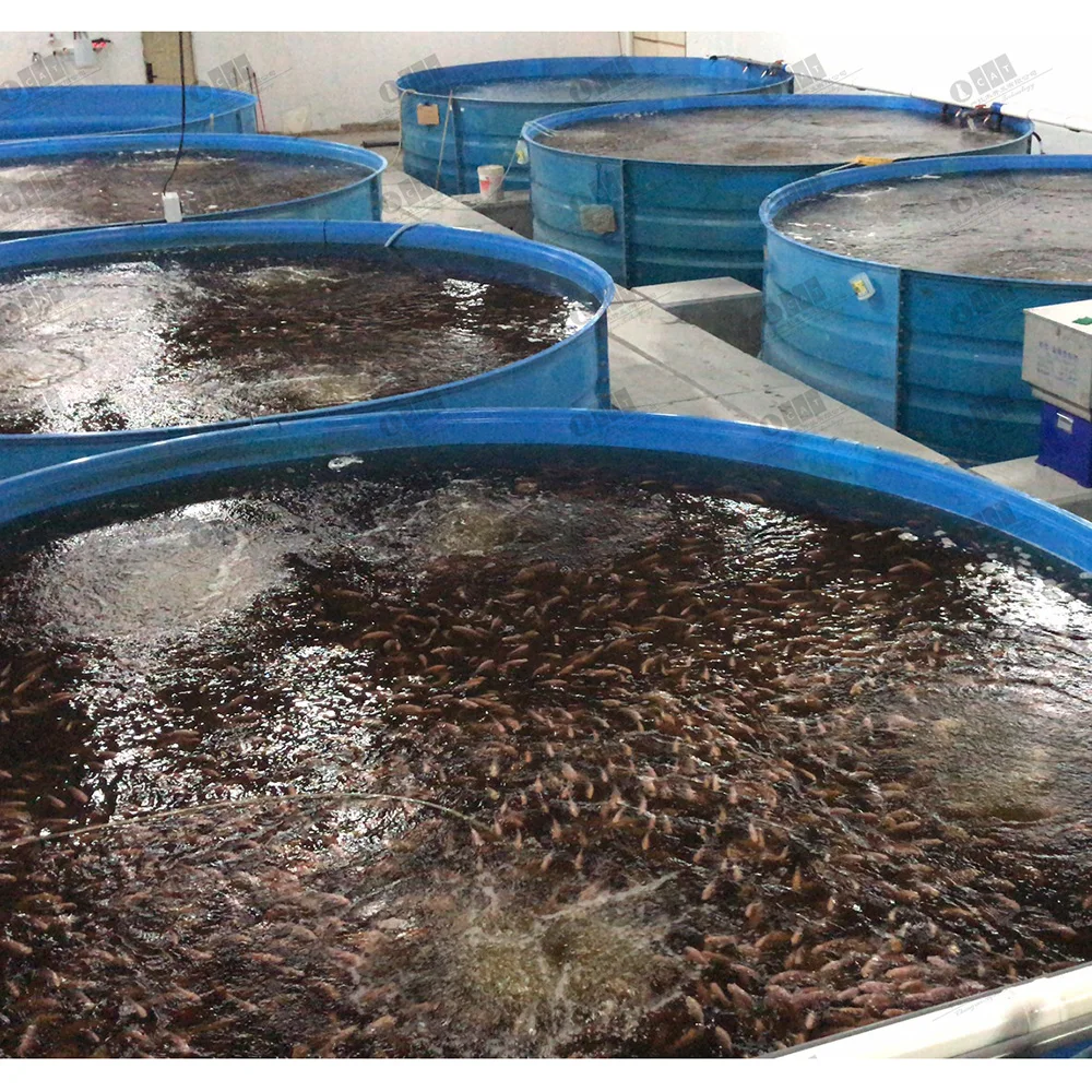 Малазийский проект Tilapia Ras оборудование для рыбоводства система