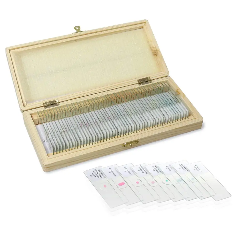 50pcs/set for Intermediate Level Prepared Microscope Glass Slides With Specimen Box Botany Zoology Insects for Teaching