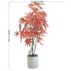 XY2502-11 80CM