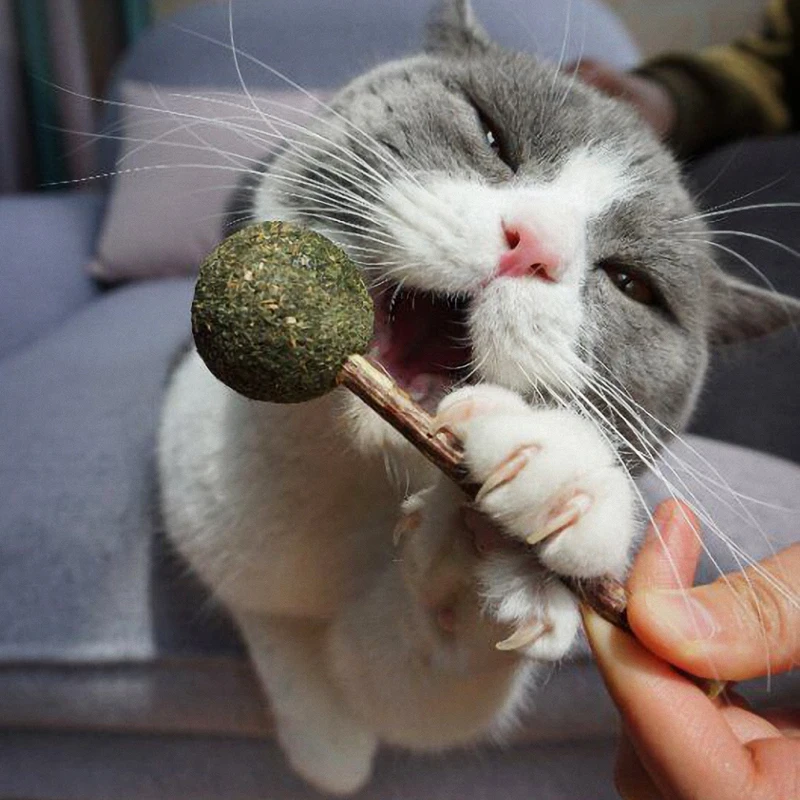 
Питомцы для кошек, мята, леденец, конфеты, мячик, игрушка, таза, серебряная палочка, еда, лакомство, закуска 