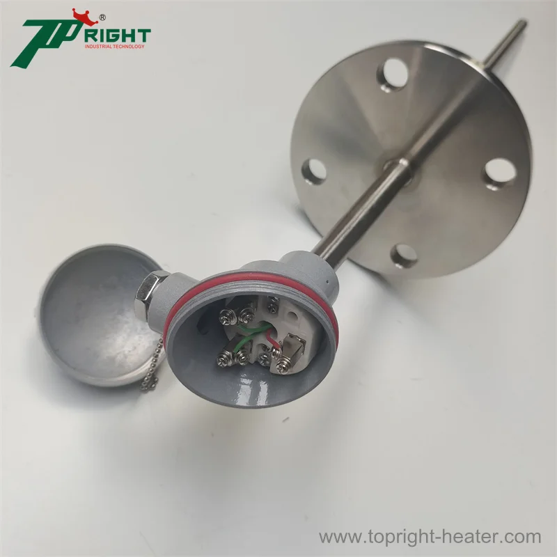 Probe 16mm RTD PT100 Sensor with 2B Flange - Topright Precision