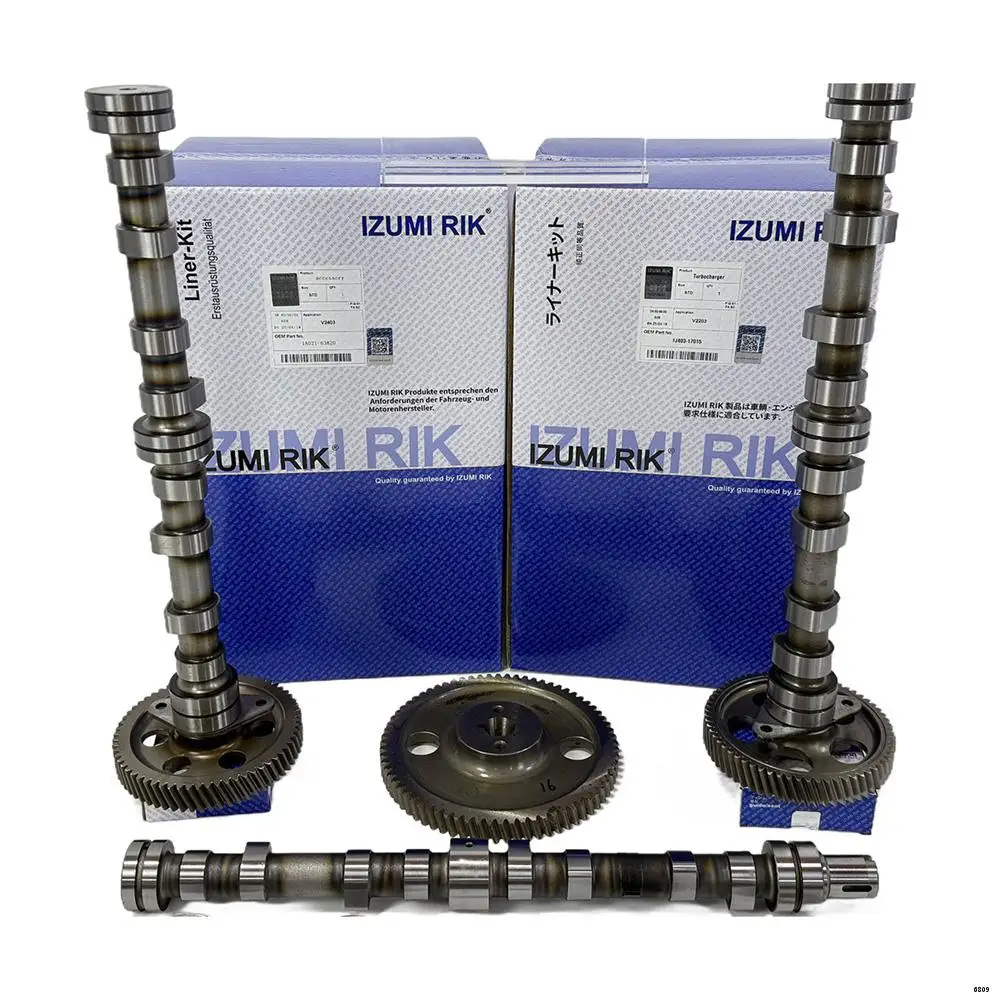 Fast Delivery Engine Parts IZUMI RIK QC495T45 Camshaft Assembly for Quanchai