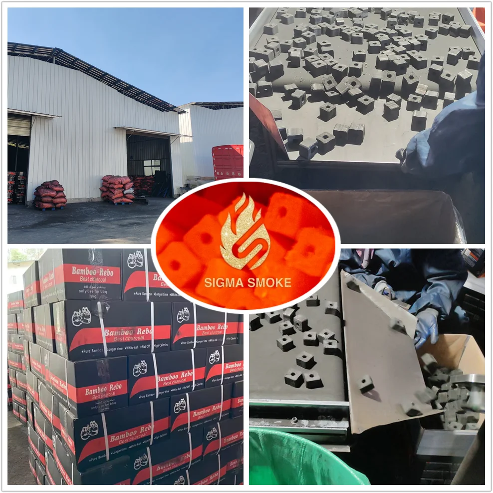 Nanchang Sigma Charcoal Energy Co., Ltd.