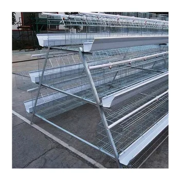 Chicken Cages Egg Laying Hen Cages Multifunctional Provided Chicken Coop Poultry in Ghana Chicken Cages for Sale 2.5-4.0 Mm