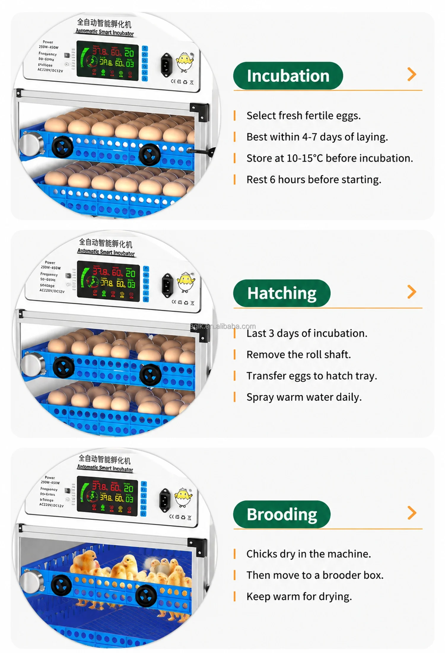 Goose & Ostrich Egg Incubator 70–420