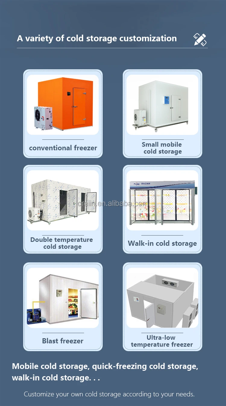 40ft 20ft Container Prefabricated Coldroom/ Cold Storage Kit/ Coolroom ...