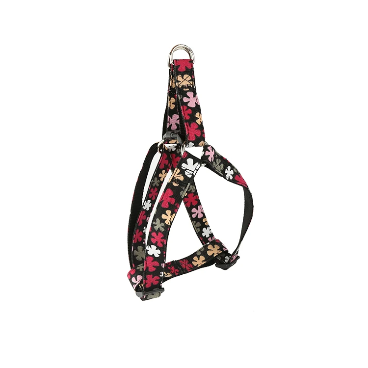 Modern style OEM design custom printing dog collar flower pattern luxury nylon pet leash
