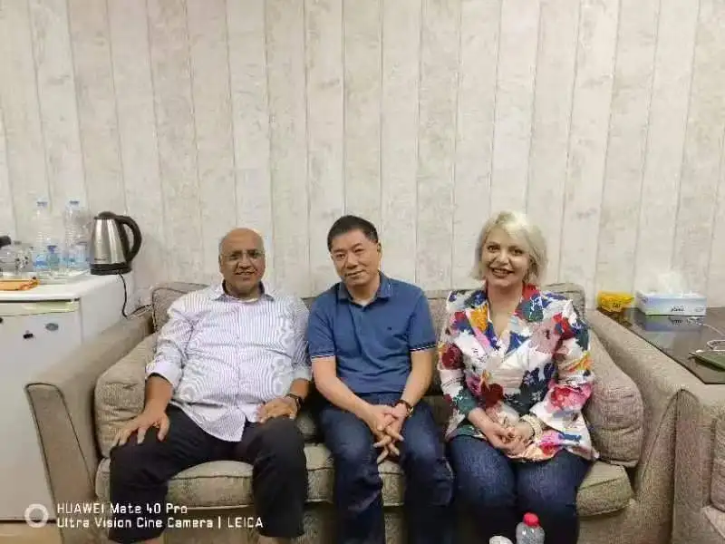 14T Full Hydraulic Gear Pump with 1060lpm Flow Rate and 100BAR Operating Pressure for Heavy Machines