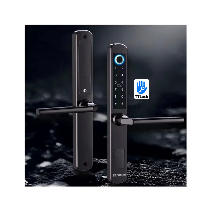 IP66 Aluminum Patio Sliding Glass Door Smart Lock Tt Lock App Handle Keypad Fingerprint RFID Electronic Digital Lock