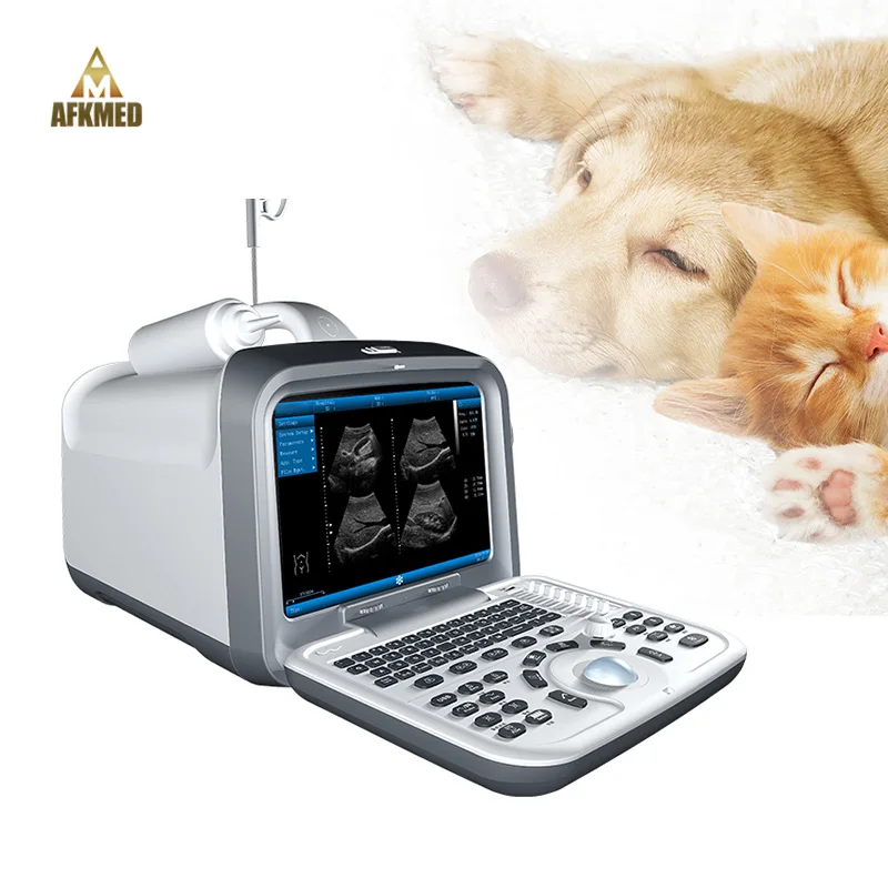 Hot sale 3d veterinary ultrasound dogs cats portable ultrasound medical scan machine