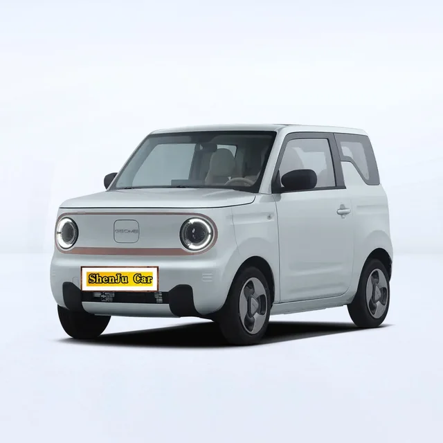 Cheap Price Electric Car Geely Panda Mini EV  For Adult Top Speed 100km/h 5 Seater Electric Range 120km In Stock Made In China