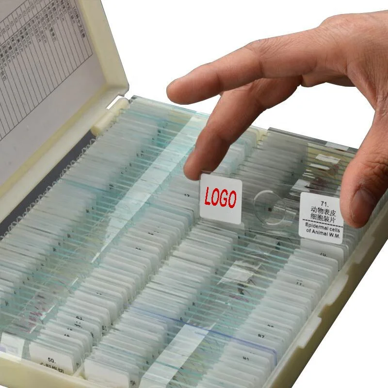 Набор слайдов для медицинских и медицинских студентов, 100 шт.