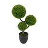 Green-TZL2411112