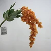 Arancione