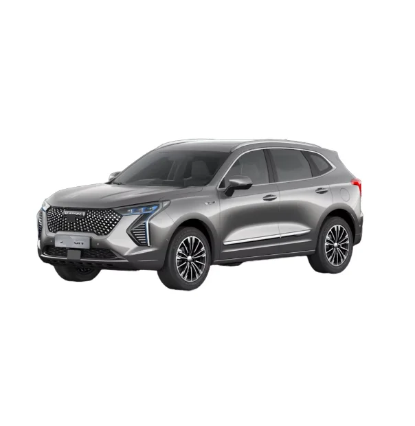For Haval Jolion