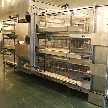 Full Set Chicken Farm Equipment Animal Cage Price Poultry Cage Automatic Broiler Battery Broiler Chicken Cage