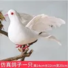 One white dove