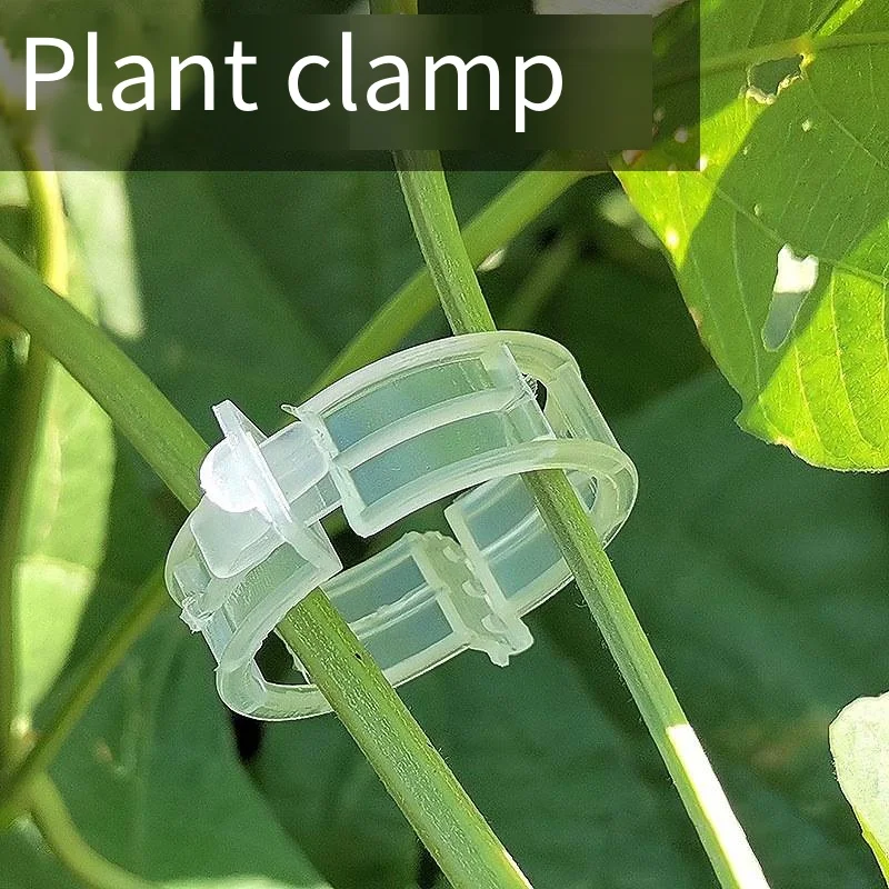 Vine hanging vine green plant vine fixation clip pepper eggplant fixer seedling plant clip factory