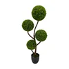 Green-TZL2411110